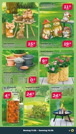 Aktueller Netto mit dem Scottie Prospekt mit Feuerschale, "Günstig. Besser. Für Dich.", Seite 19