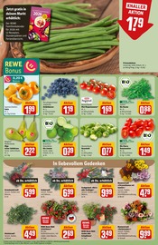 Ähnliche Hortensie Angebote im Prospekt "Dein Markt" von REWE in Erkelenz Ähnliche Angebote wie Hortensie im Prospekt "Dein Markt" auf Seite 9 von REWE in Erkelenz