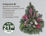 Grabgesteck im V-Markt Prospekt Grabgesteck von im aktuellen V-Markt Prospekt für 21,99 €