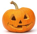 GROSSER HALLOWEEN KÜRBIS im Angebot bei REWE in Frechen GROSSER HALLOWEEN KÜRBIS Angebote bei REWE Frechen für 4,99 €