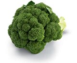 Broccoli Angebote bei Netto Marken-Discount Cottbus für 1,11 €