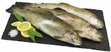 EDEKA Augsburg - Frische Regenbogen-Forelle Angebot im Prospekt Frische Regenbogen-Forelle bei EDEKA im Augsburg Prospekt für 1,49 €