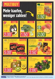 Kohlrabi Angebot im aktuellen Marktkauf Prospekt auf Seite 10