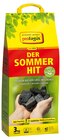 Aktuelle Grill Angebote bei REWE in Dortmund Aktuelles Grillis Angebot bei REWE in Dortmund ab 7,49 €