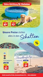 Aktueller Thomas Philipps Prospekt mit Tierbedarf, "Top Angebote", Seite 10