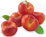 Plattnektarinen für 2,99 € bei REWE im Angebot Plattnektarinen im aktuellen REWE Prospekt