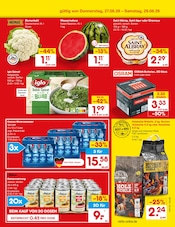 Briketts im Netto Marken-Discount Prospekt in Gießen Aktueller Netto Marken-Discount Prospekt mit Briketts, "Aktuelle Angebote", Seite 51