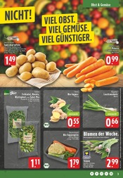 Aktueller E center Prospekt mit Blumen, "Aktuelle Angebote", Seite 5