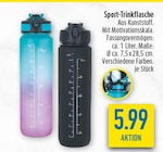 Sport-Trinkflasche Angebote bei diska Amberg für 5,99 €