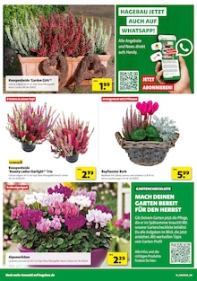 Rindenmulch Angebot im Hagebaumarkt Prospekt, gültig von 30.08.2025 bis 06.09.2025 Rindenmulch Angebot im aktuellen Hagebaumarkt Prospekt auf Seite 14