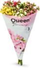 Kalanchoe Schnittblume Angebote von Queen Flowers bei Netto Marken-Discount Hof für 6,99 €