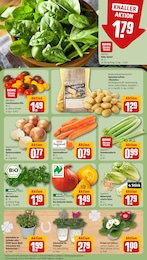 REWE Raclette im Prospekt 