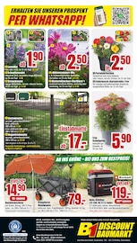 Zaun Sichtschutz Angebote im Prospekt "BESTPREISE DER WOCHE!" von B1 Discount Baumarkt Zaun Sichtschutz Angebote im Prospekt "BESTPREISE DER WOCHE!" von B1 Discount Baumarkt auf Seite 6