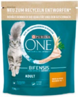 One Katzentrockennahrung von Purina im aktuellen Netto mit dem Scottie Prospekt