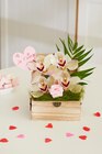 Orchidée 4 fleurons coffret en promo chez Carrefour Brest à 12,99 €