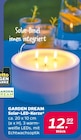Aktuelles Solar-LED-Kerze Angebot bei Netto mit dem Scottie in Cottbus ab 12,99 €
