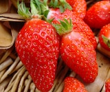 Promo Fraisier à  dans le catalogue Point Vert à Soumoulou