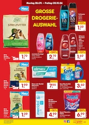 Dusche im Netto Marken-Discount Prospekt in Dresden Aktueller Netto Marken-Discount Prospekt mit Dusche, "Aktuelle Angebote", Seite 33