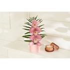 Orchidée 3 fleurons vase céramique - Carrefour Market à Bordeaux Orchidée 3 fleurons vase céramique en promo chez Carrefour Market Bordeaux à 8,99 €