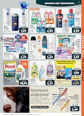 Aktueller aktiv & irma Prospekt mit Hundefutter, "Top Angebote", Seite 13