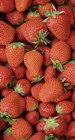 Spar Paris - Promo FRAISE VARIÉTÉ GARIGUETTE Promo FRAISE VARIÉTÉ GARIGUETTE à 4,49 € dans le catalogue Spar à Paris