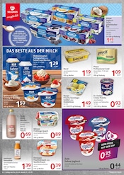 Aktueller Selgros Prospekt mit Sahne, "cash & carry", Seite 8