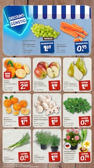 Narzissen im nahkauf Prospekt "nichts liegt näher" mit 8 Seiten (Hamburg)