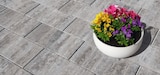 Aktuelle Terrassenplatten Angebote bei Hagebaumarkt in Oberhausen Aktuelles Terrassenplatte „Figuera“ Angebot bei Hagebaumarkt in Oberhausen ab 1,79 €