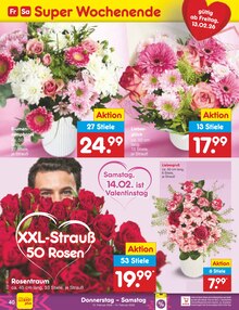 Blumen im Netto Marken-Discount Prospekt "Aktuelle Angebote" mit 62 Seiten (Siegen (Universitätsstadt))