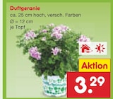 Duftgeranie für 3,29 € bei Netto Marken-Discount im Angebot Duftgeranie im aktuellen Netto Marken-Discount Prospekt