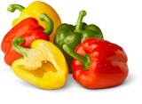 Aktuelle Paprika Angebote bei Penny in Pforzheim Aktuelles Paprika-Mix Angebot bei Penny in Pforzheim ab 1,49 €