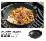 GUSS-WOK-EINLEGER im Angebot bei PROFI Wesch in Eisenach GUSS-WOK-EINLEGER Angebote bei PROFI Wesch Eisenach für 59,99 €