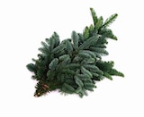 Schnittgrün bei Hagebaumarkt im Steinhagen Prospekt für 2,49 €