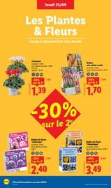 Plantes Angebote im Prospekt "Vos produits du quotidien au meilleur prix, ça vaut le coup." von Lidl Plantes Angebote im Prospekt "Vos produits du quotidien au meilleur prix, ça vaut le coup." von Lidl auf Seite 26