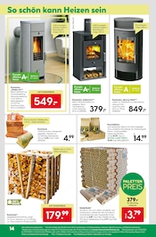 Aktueller BayWa Bau- und Gartenmärkte Prospekt mit Kamin, "Entscheiden Sie selbst", Seite 16