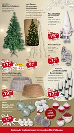 Aktueller Sonderpreis Baumarkt Prospekt mit Weihnachtsbaum, "Aktuelle Angebote", Seite 4