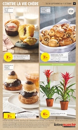 Plantes Angebote im Prospekt "LE TRÈS GROS ANNIVERSAIRE" von Intermarché auf Seite 17