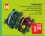 Frühlingsblüher im Angebot bei Marktkauf in Schwabach Frühlingsblüher Angebote von Fränkische bei Marktkauf Schwabach für 3,99 €