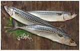 Aktuelle Fisch Angebote bei REWE in Duisburg Aktuelles Makrele ausgenommen Angebot bei REWE in Duisburg ab 1,89 €
