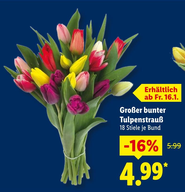 Großer bunter Tulpenstrauß