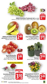 Tomaten im E center Prospekt "Aktuelle Angebote" mit 53 Seiten (Freiburg (Breisgau))