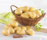 Promo Pomme de terre de consommation à chair ferme à 1,99 € dans le catalogue Bi1 à Pierrefontaine-les-Varans