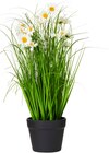 Kunstgras im Topf 58 cm Angebote bei Rusta Neumünster für 8,90 €