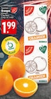 Orangen bei EDEKA im Merzen Prospekt für 1,99 €