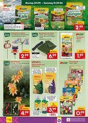 Tee im Netto Marken-Discount Prospekt in Erkelenz Aktueller Netto Marken-Discount Prospekt mit Tee, "Aktuelle Angebote", Seite 61