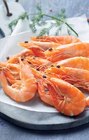 Crevettes cuites - Intermarché à Poitiers Crevettes cuites en promo chez Intermarché Poitiers à 8,39 €