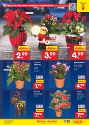 Aktueller Netto Marken-Discount Prospekt mit Garten, "Aktuelle Angebote", Seite 7
