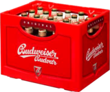 Aktuelles tschechisches Bier Angebot bei E center in Rostock ab 14,99 €