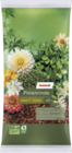 Pinienrinde von toom im aktuellen toom Baumarkt Prospekt für 9,99 €