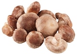 Shiitake Pilze von REWE Beste Wahl im aktuellen REWE Prospekt für 2,22 €
